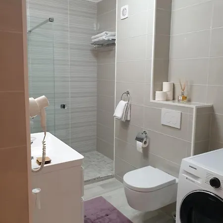 Blue Rose Apartament *